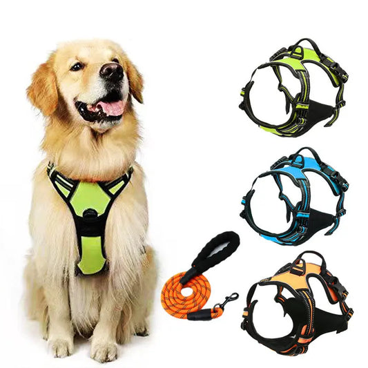harness