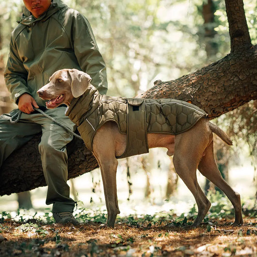 Hunter Style Dog Jacket Teamdrop
