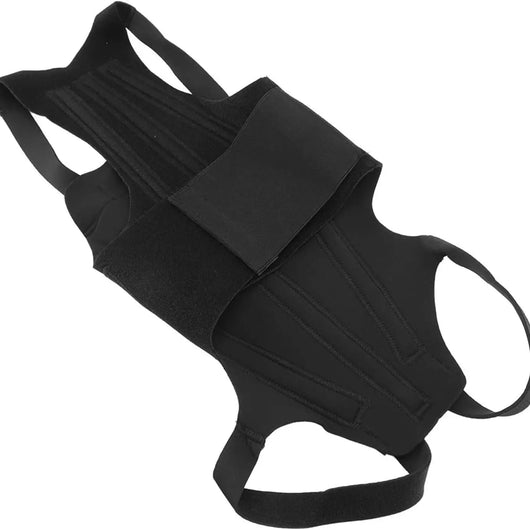 Dog Back Support Vest Teamdrop