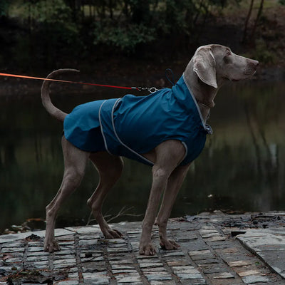 Waterproof Dog Raincoat (Lightweight) Teamdrop