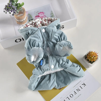 Small Dog Coat Teamdrop