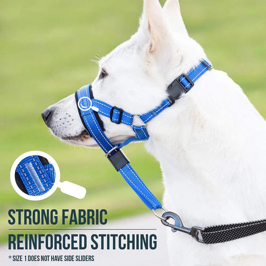 Adjustable Dog Muzzle (Anti-Lick) Teamdrop