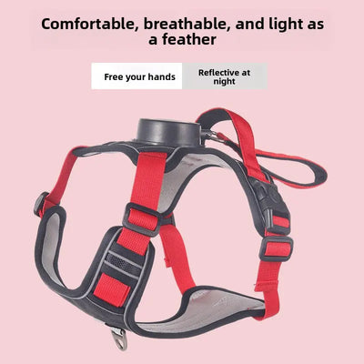 Dog Harness & Retractable Lead Set Teamdrop