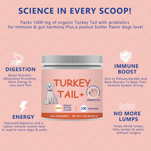 Dog Turkey Tail Mushroom Supplement Powder Teamdrop