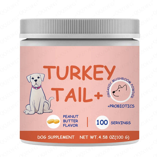 Dog Turkey Tail Mushroom Supplement Powder Teamdrop