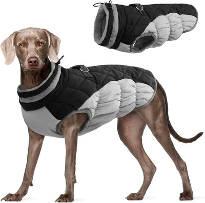 Windproof Fleece-Lined Dog Coat Teamdrop