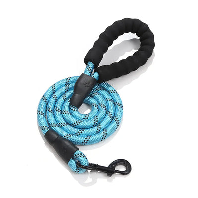 Reflective Nylon Dog Lead Teamdrop