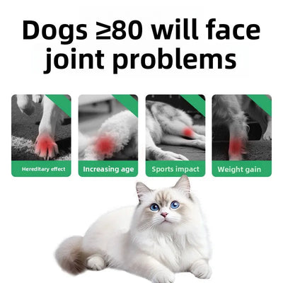 Dog Daily Health Supplement Teamdrop