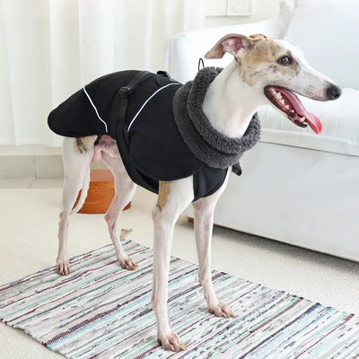 Classic Dog Coat Teamdrop