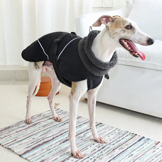Classic Dog Coat Teamdrop
