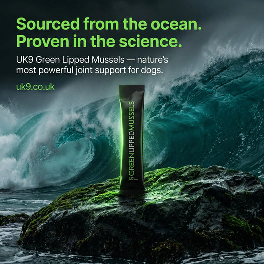 UK9 Green Lipped Mussels — 100% NZ Mussel Powder Sachets (30) UK9 Petcare