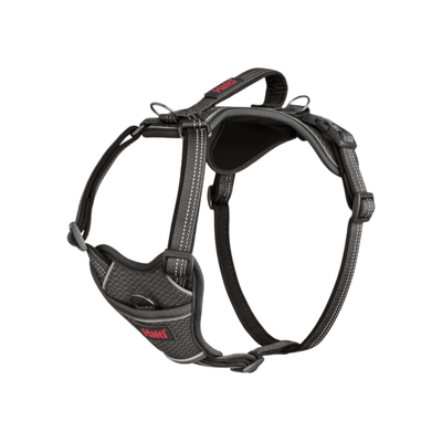 Halti Anatomy Dog Harness, Grey, Large