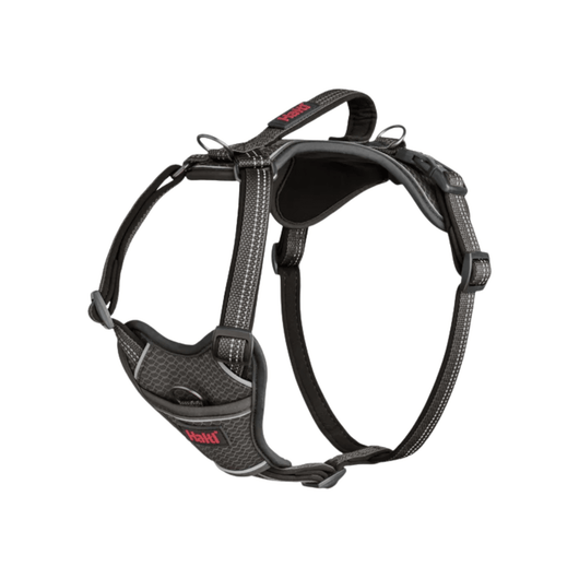 Halti Anatomy Dog Harness, Grey, Large