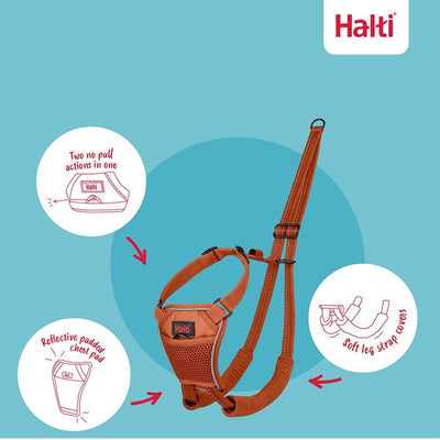 Halti No Pull Harness, Burnt Orange, Medium
