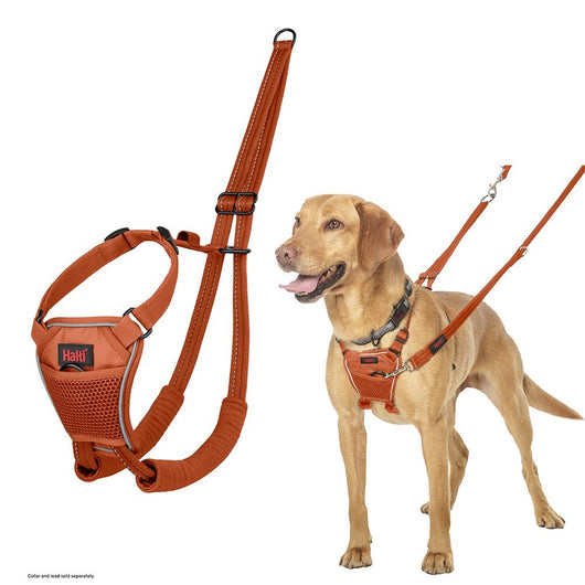 Halti No Pull Harness, Burnt Orange, Medium