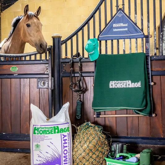 HorseHage Timothy bag in a stable, with a horse looking over the door
