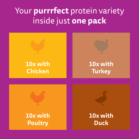 Whiskas 1+ Poultry in Jelly Pouches, 40 x 85g