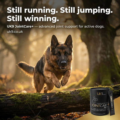 UK9 JointCare+ — Daily Joint Support Sachets (30) UK9 Petcare