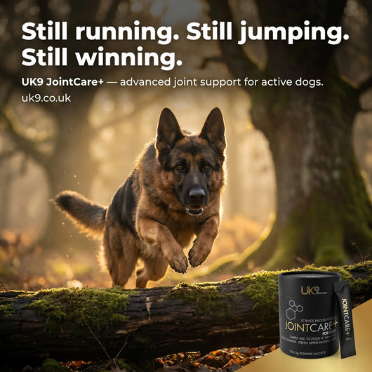 UK9 JointCare+ — Daily Joint Support Sachets (30) UK9 Petcare