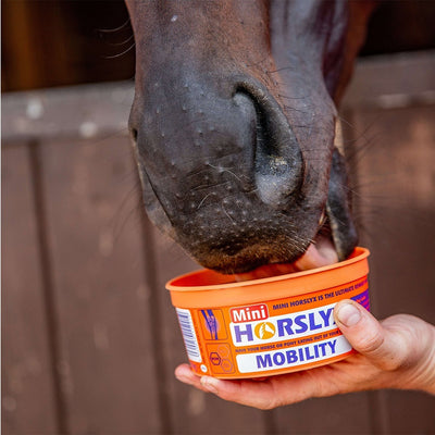 Horslyx Mini Mobility Lick, 650g
