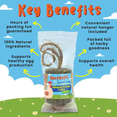 Natures Grub Hentastic Herbal Foraging Feast, 400g