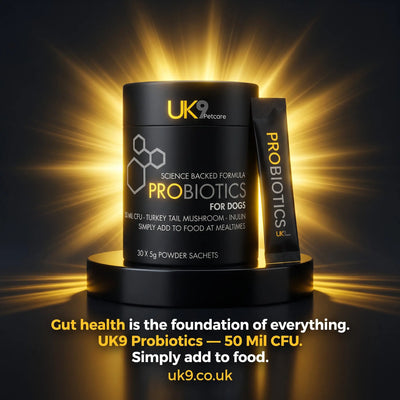 UK9 Probiotics — Daily Digestive Support Sachets (30) UK9 Petcare