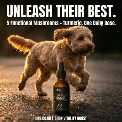 UK9 Vitality Boost — Daily Mushroom + Turmeric Drops (60ml) UK9 Petcare