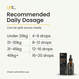UK9 Vitality Boost — Daily Mushroom + Turmeric Drops (60ml)