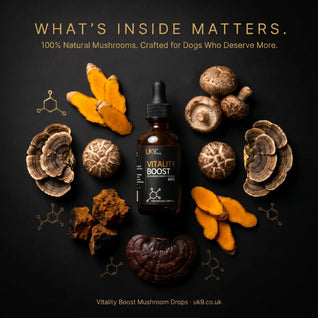 UK9 Vitality Boost — Daily Mushroom + Turmeric Drops (60ml)
