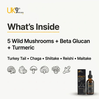 UK9 Vitality Boost — Daily Mushroom + Turmeric Drops (60ml) UK9 Petcare