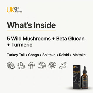 UK9 Vitality Boost — Daily Mushroom + Turmeric Drops (60ml)