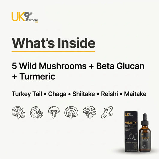UK9 Vitality Boost — Daily Mushroom + Turmeric Drops (60ml) UK9 Petcare