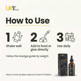UK9 Vitality Boost — Daily Mushroom + Turmeric Drops (60ml)