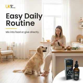 UK9 Vitality Boost — Daily Mushroom + Turmeric Drops (60ml)