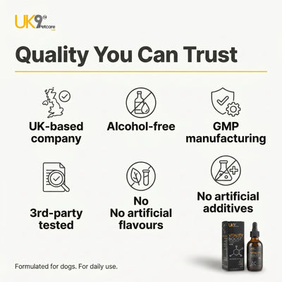 UK9 Vitality Boost — Daily Mushroom + Turmeric Drops (60ml) UK9 Petcare