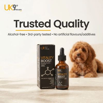 UK9 Vitality Boost — Daily Mushroom + Turmeric Drops (60ml) UK9 Petcare