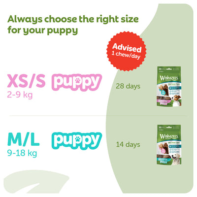 Whimzees Puppy Dental Chews Value Bag, Medium/Large, 14 Pack